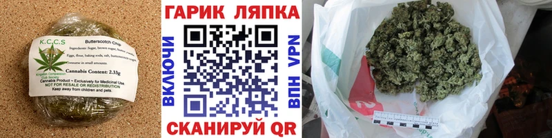 купить наркотик  мега маркетплейс  Cannafood конопля  Катав-Ивановск 