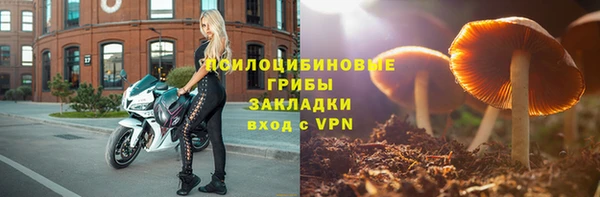 эйфоретик Вяземский