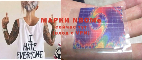 индика Вязники