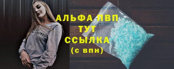 эйфоретик Вяземский