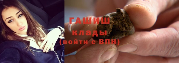 индика Вязники