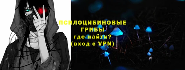 эйфоретик Вяземский