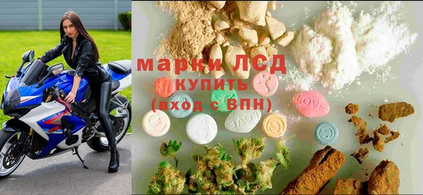 индика Вязники
