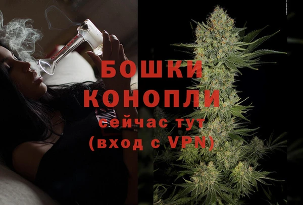 эйфоретик Вяземский
