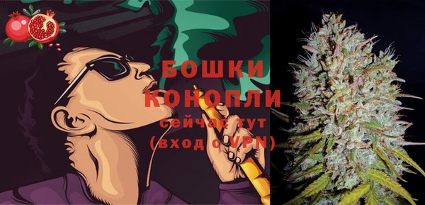 эйфоретик Вяземский