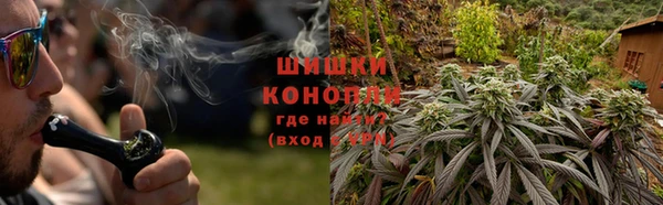 индика Вязники